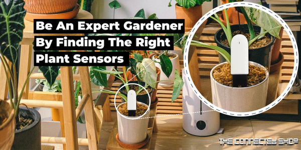 Be An Expert Gardener By Finding The Right Plant Sensors - The Connected Shop