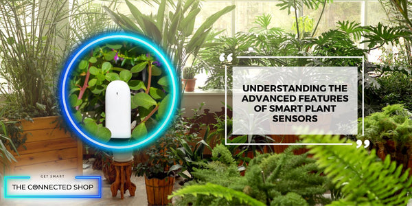 Maximize Your Green Thumb: Top Tips for Using Smart Plant Sensors