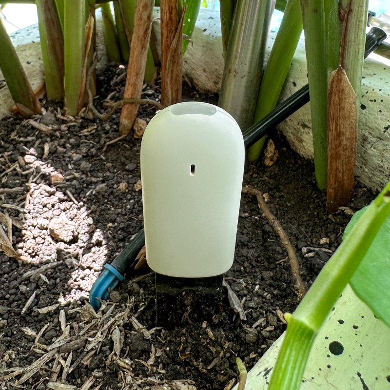 Plant & Flower Smart Sensors plant soil